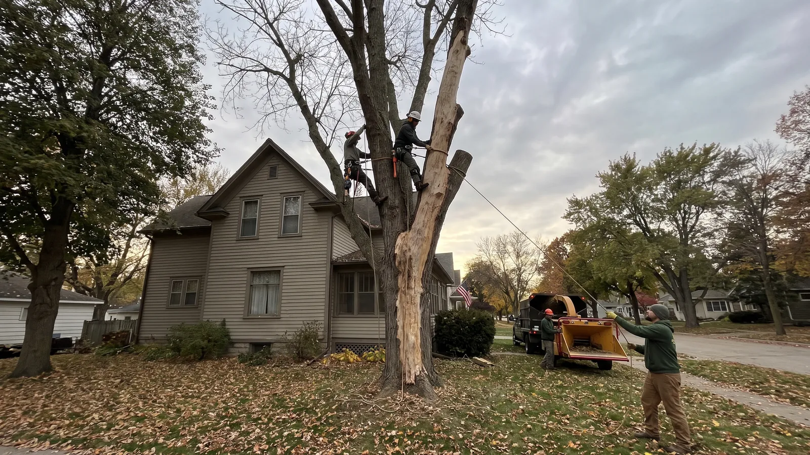Crew taking down a dead ash tree with bark stripped by woodpeckers beside a two-story home in Sioux Falls